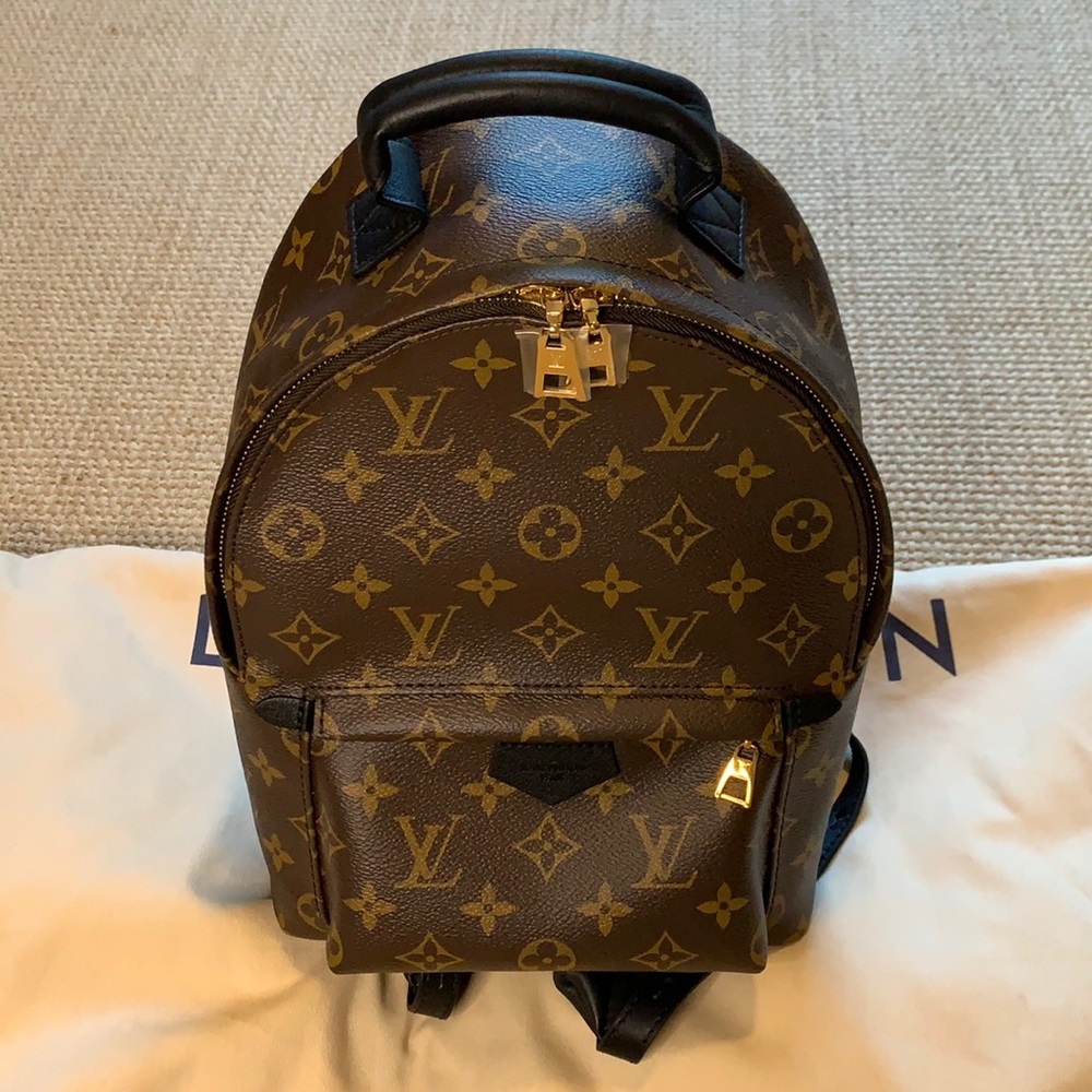 Louis Vuitton Palm Springs PM AUTHENTIC